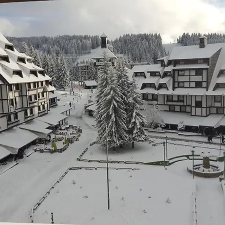 Mozaik * Kopaonik