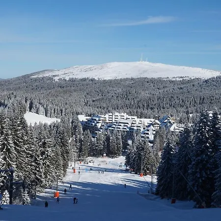 Mozaik Kopaonik