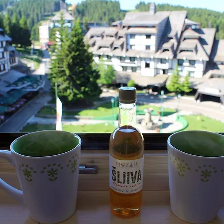 公寓 Mozaik 科帕奥尼克