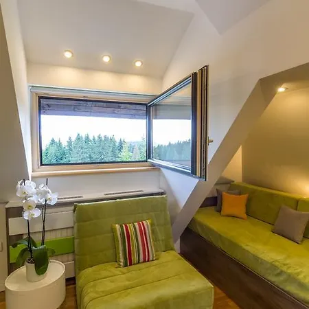 Apartment Mozaik Kopaonik