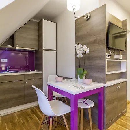 Mozaik 公寓 科帕奥尼克