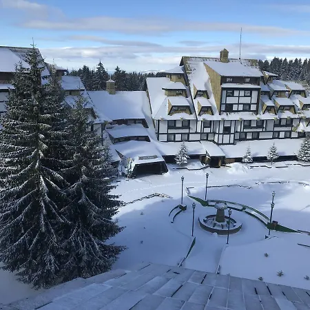 Mozaik Kopaonik