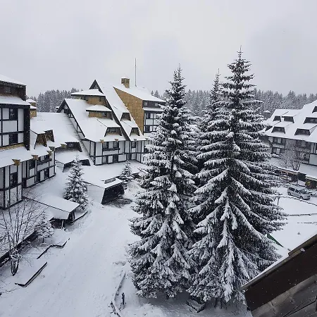 Mozaik Kopaonik