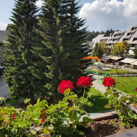 Mozaik Kopaonik