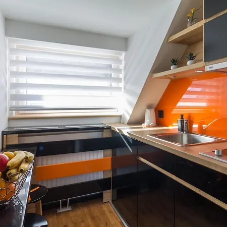 公寓 Mozaik 科帕奥尼克