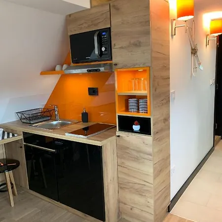 Mozaik * 科帕奥尼克