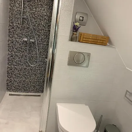 Mozaik Apartment Kopaonik